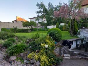 a garden with a bench and flowers in a yard at Kwatera nad morzem Orłowo in Gdynia