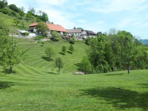 Gallery image of Ferienhof Rabenreith in Grossraming