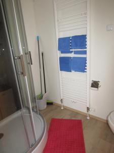 łazienka z prysznicem i czerwonym dywanem w obiekcie Mobilheim Adler Horst w mieście Lachtal