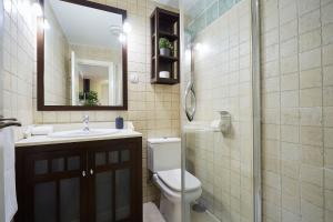 łazienka z toaletą, umywalką i lustrem w obiekcie LEEWAYS APARTMENT I in SAN LORENZO w Madrycie