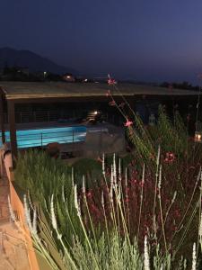 The swimming pool at or close to Villa Verde