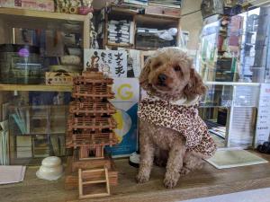 een hond zit naast een houten gebouw bij Hotel Diamond in Osaka