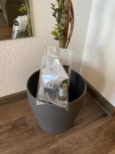 デュッセルドルフにあるWorking & Longstay Apartments DDの床に植物を入れた黒鉢