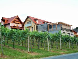 a house on a hill next to a vineyard at Gästezimmer Steiner in Gamlitz