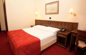 Postel nebo postele na pokoji v ubytování Hotel Continental