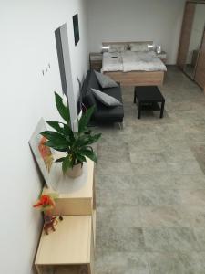 uma sala de estar com uma cama e uma planta em Place near Casino Mond - Apartma Urška em Sentilj