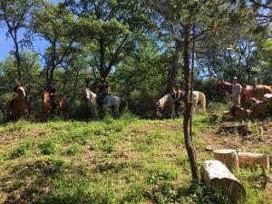 a group of people riding horses in a field at Agridomus il Mulino in Palazzo del Pero