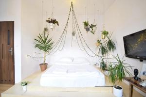 een kamer met een bed met planten aan de muur bij Apartament na modrzejowskiej pełen sztuki i zieleni in Sosnowiec