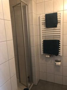 a shower in a bathroom with a mirror at Gästehaus Goldhorn in Rödental