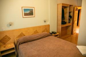 a bedroom with a bed in a room at Ayelen Express in Calama