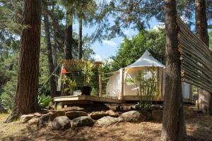 Gallery image of Kerikeri Glamping in Kerikeri