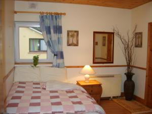 1 dormitorio con cama, ventana y lámpara en Killarney Railway Hostel en Killarney