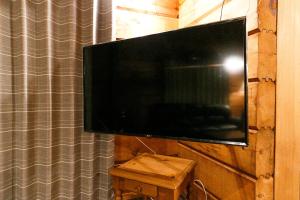TV a/nebo společenská místnost v ubytování ログハウスせせらぎ