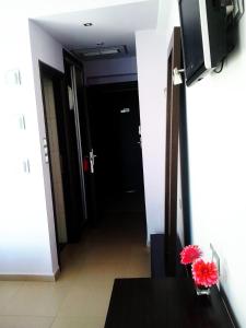 TV a/nebo společenská místnost v ubytování Hotel Kipseli