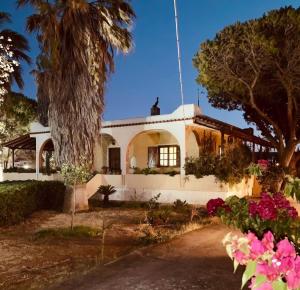 une maison blanche avec un palmier et des fleurs dans l'établissement Vravrona Family House, à Artemi