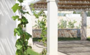 גינה חיצונית ב-San Lorenzo Boutique Hotel & SPA
