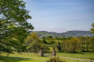 ブリッドポートにあるThe Apple Loftの塀と木の入った畑の門