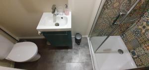 La salle de bains est pourvue de toilettes, d'un lavabo et d'une douche. dans l'établissement Appartement Studio Chanoine, à Quimper