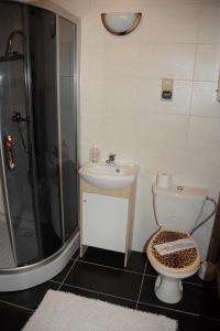 a bathroom with a toilet and a sink and a shower at Pokoje Gościnne Kościelisko AZ Somatic in Kościelisko