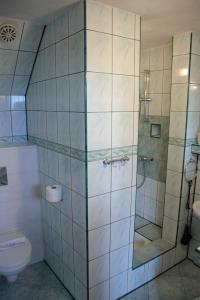 a bathroom with a shower and a toilet at Pokoje Gościnne Kościelisko AZ Somatic in Kościelisko