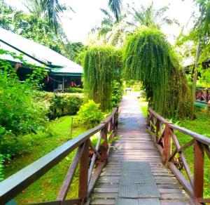 a wooden bridge over a field with trees and a building at Sukau Backpackers B&B in Sukau