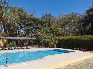 a swimming pool in a yard with chairs and trees at Tendinkoto Lodge in Sanyang