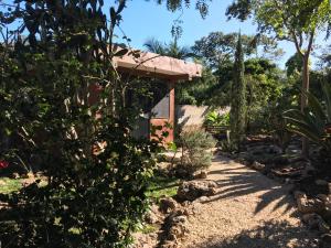 Vrt pred nastanitvijo The Pickled Onion B&B and Restaurant Uxmal