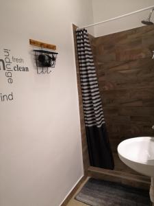 a bathroom with a shower and a sink at Apartman Rosé in Eger