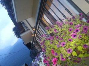 A garden outside Bellaguarda ROOMS 10min da Tirano