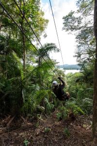a person on a zip line in the forest at Gamboa Rainforest Reserve in Gamboa