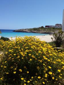 een veld met gele bloemen op het strand bij Appartamento Guitgia in Lampedusa