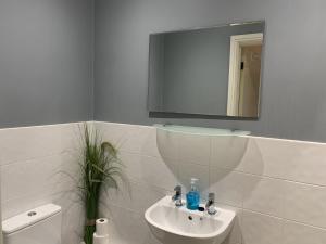 a bathroom with a sink and a mirror and a toilet at Southernwood - Studio 1 in Didcot