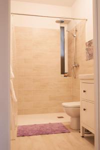 Un baño con ducha, inodoro y lavabo. en La casa de tus sueños, en Villalpando