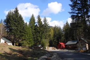 Gallery image of Hall Creek Cabin in Packwood