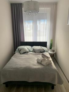 Cama o camas de una habitación en Apartament Walczaka 11 MIEJSCE PARKINGOWE