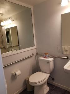 bagno con servizi igienici, lavandino e specchio di Tamarack Beach Hotel a Carlsbad