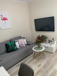 a living room with a gray couch and a table at Apartament Walczaka 11 MIEJSCE PARKINGOWE in Gorzów Wielkopolski