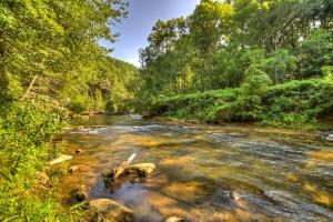Fotografie z fotogalerie ubytování Creektopia v destinaci Blue Ridge