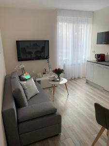een woonkamer met een bank en een tafel bij Apartament Walczaka 25 MIEJSCE PARKINGOWE in Gorzów Wielkopolski