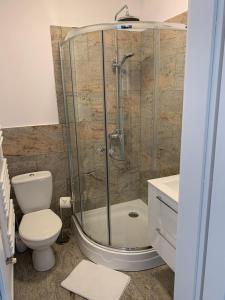 W łazience znajduje się prysznic, toaleta i umywalka. w obiekcie Apartament Walczaka 25 MIEJSCE PARKINGOWE w mieście Gorzów Wielkopolski