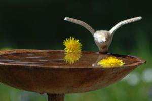 Fotografie z fotogalerie ubytování Ferienhaus Nest v destinaci Blaichach