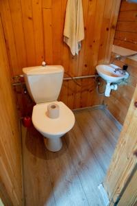 ein Bad mit einem WC und einem Waschbecken in der Unterkunft Chata Pohoda pri Jánošíku in Terchová