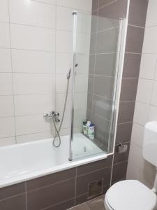 a bathroom with a shower and a toilet at Sunrise apartman in Bijeljina
