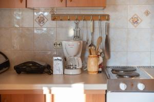 Kuchyň nebo kuchyňský kout v ubytování Apartments Pilicari