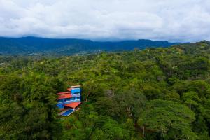 an aerial view of a building in the middle of a forest at El Paraiso Azul in Ojochal