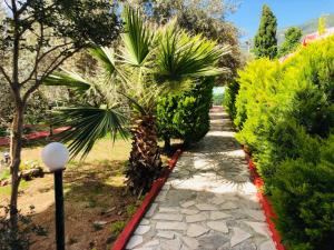 Zahrada ubytování Nature Hotel Doğa Hotel Ölüdeniz