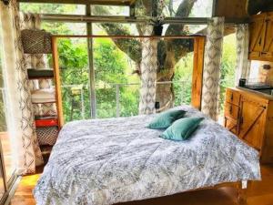 1 cama con 2 almohadas en una habitación con ventana en Cabaña treehouse Mountain View, en San Isidro