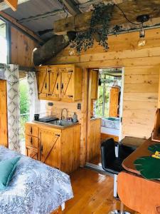 uma cozinha com um lavatório e uma mesa num camarote em Cabaña treehouse Mountain View em San Isidro