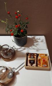 a box of honey next to a vase with a plant at Carducci 49 in Mantova