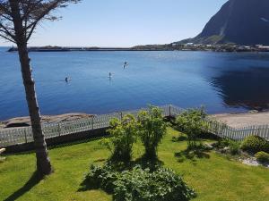 Fotografie z fotogalerie ubytování Knut Ellingsen v destinaci Reine